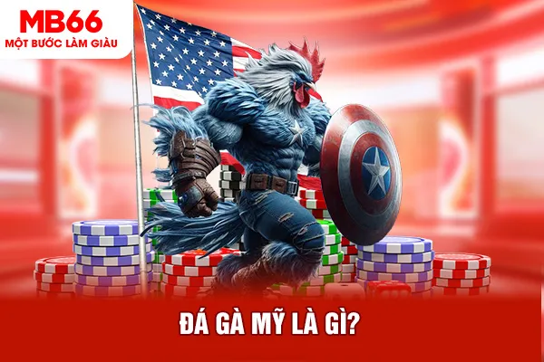 Đá gà mỹ là gì?