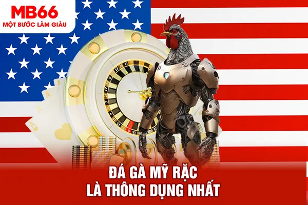 Đá gà Mỹ rặc là thông dụng nhất