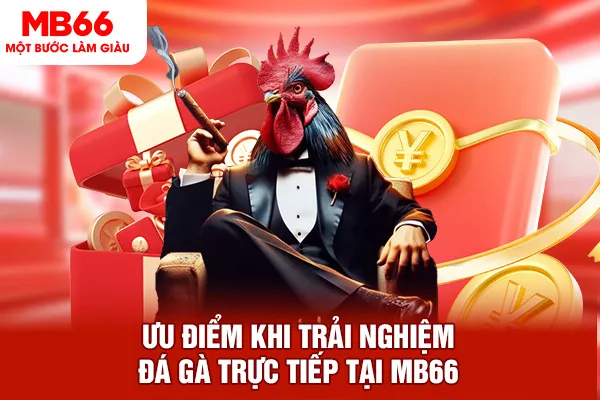 Ưu điểm khi trải nghiệm đá gà trực tiếp tại MB66