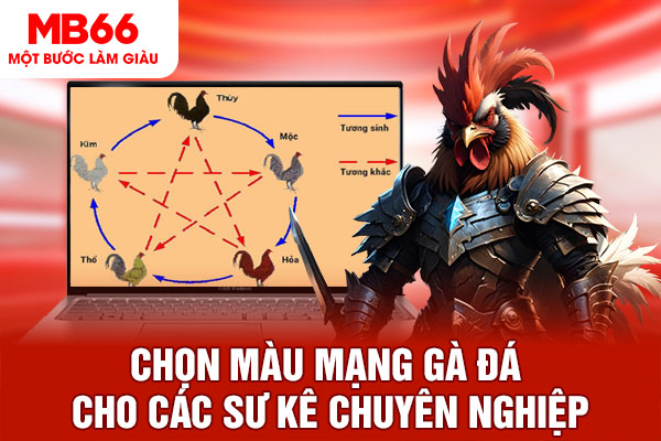 Chọn màu mạng gà đá cho các sư kê chuyên nghiệp