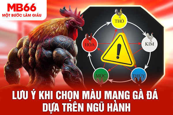 Lưu ý khi chọn màu mạng gà đá dựa trên ngũ hành