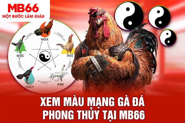 Xem màu mạng gà đá phong thủy tại MB66