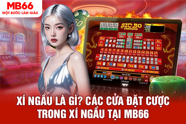 Xí Ngầu Là Gì? Các Cửa Đặt Cược Trong Xí Ngầu Tại MB66